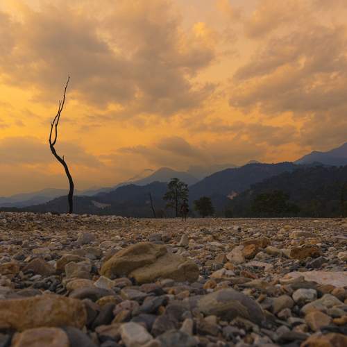 Photo #9547532