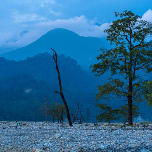 Photo #9547549