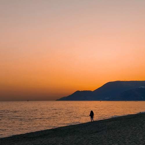 Photo #9547707
