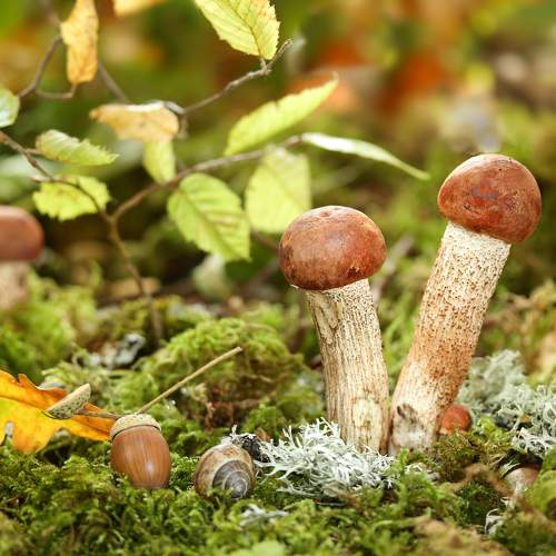 Photo #9548521