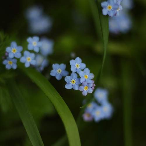 Photo #9548749
