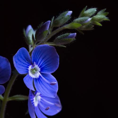 Photo #9548806