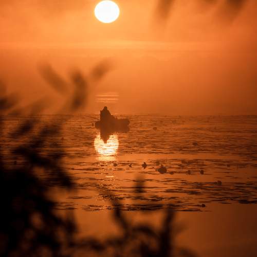 Photo #9548896