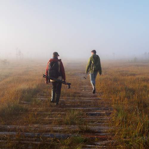 Photo #9549213