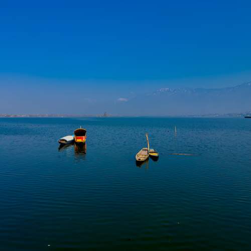 Photo #9549534