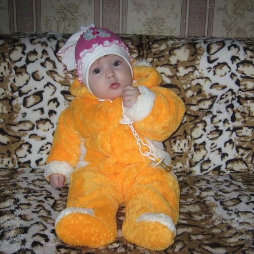 Photo #955223