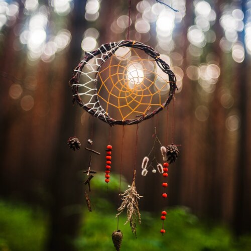 Photo #956616