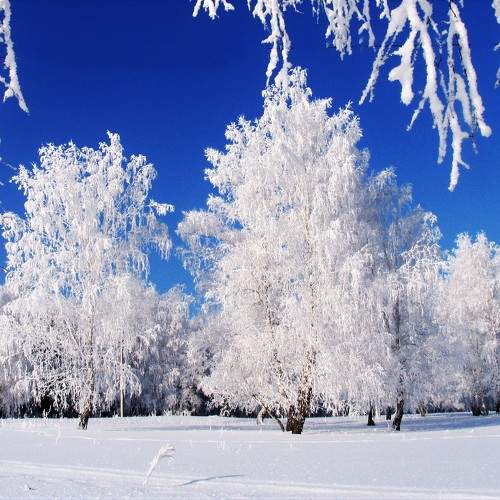 Photo #9550030
