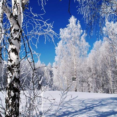 Photo #9550031