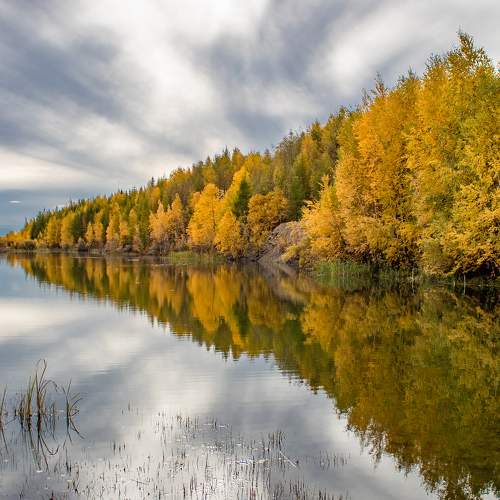 Photo #9550506