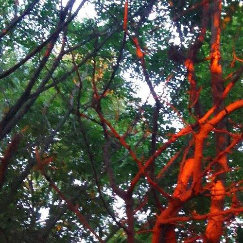 Photo #9550764
