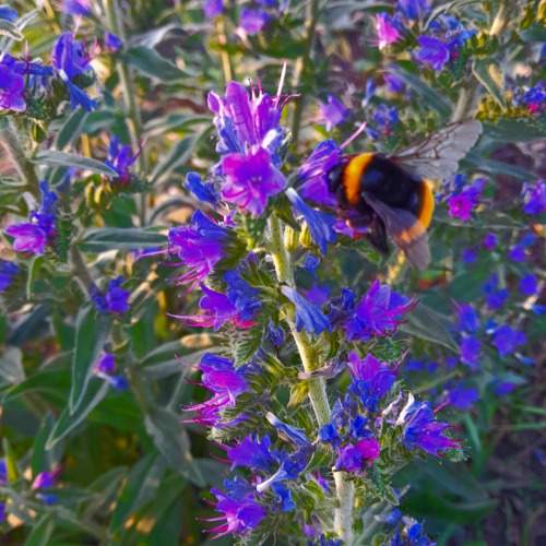 Photo #9551153