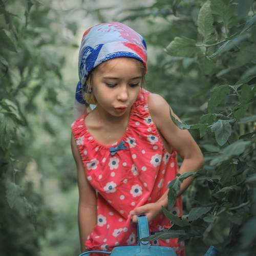 Photo #9551173