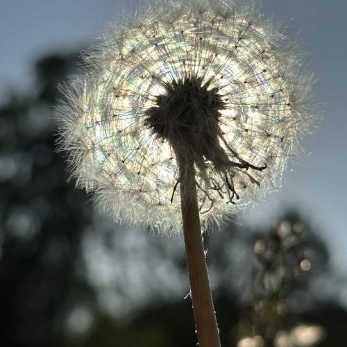 Photo #9551201
