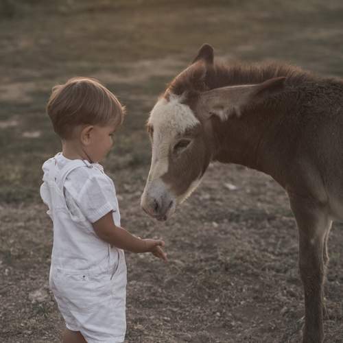 Photo #9551318
