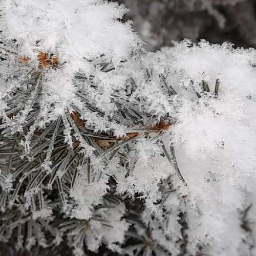 Photo #9551582