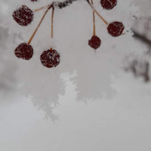 Photo #9551583