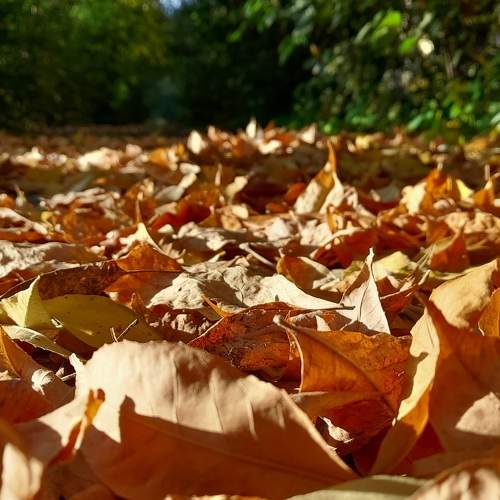 Photo #9551616