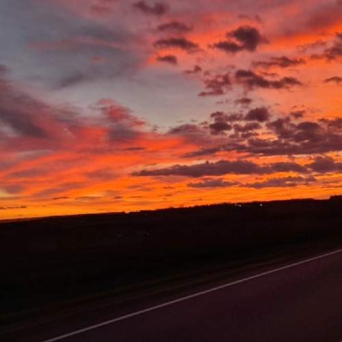 Photo #9551624