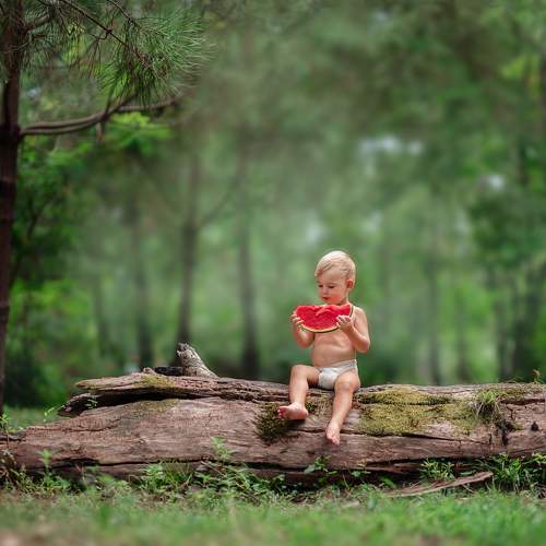 Photo #9551670