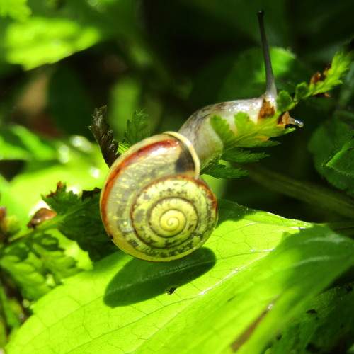 Photo #9552161