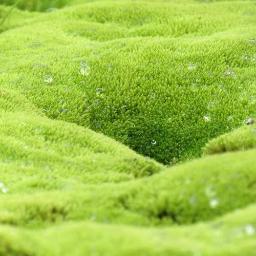 Photo #9552217