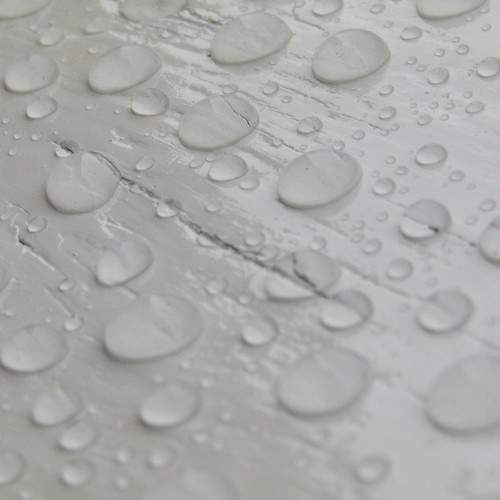 Photo #9552220