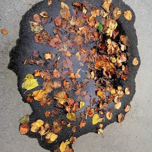 Photo #9552429