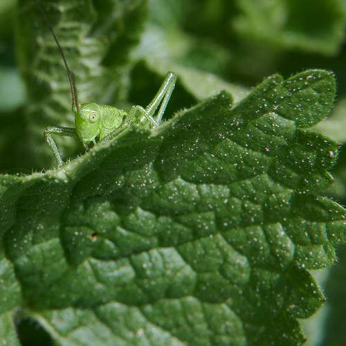 Photo #9552466