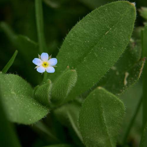 Photo #9552484