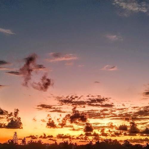 Photo #9552500