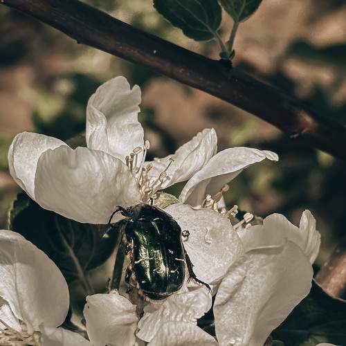 Photo #9552540