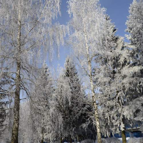 Photo #9552643