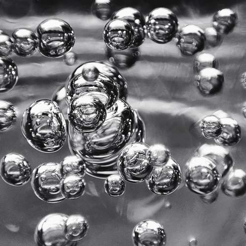 Photo #9552769