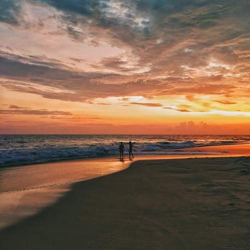 Photo #9553126