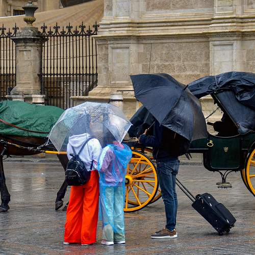Photo #9553327