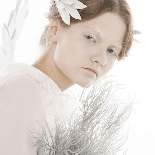 Photo #9554212