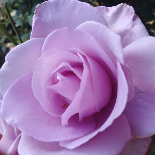 Photo #9554443