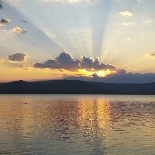 Photo #9554520