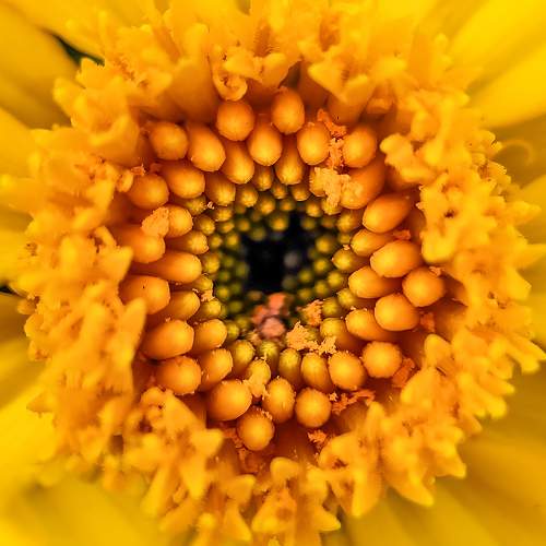 Photo #9554545