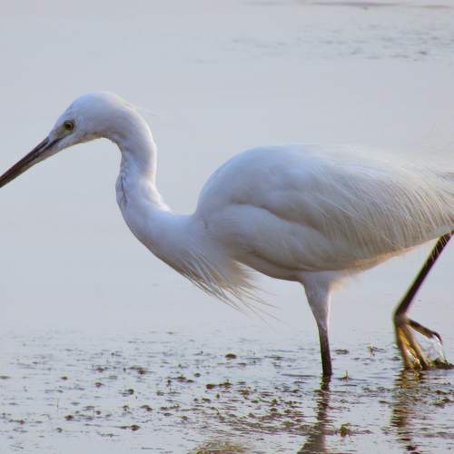 Photo #9554604
