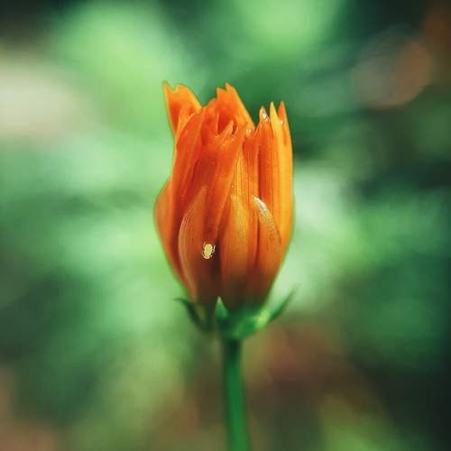 Photo #9554654