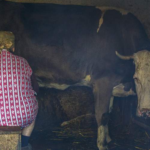 Фотография #9554990