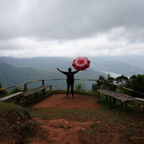Photo #9555872
