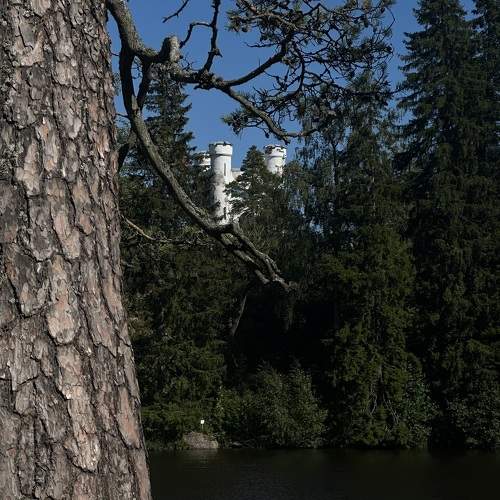Photo #9556033