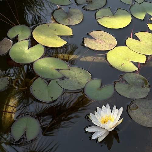 Photo #9556035