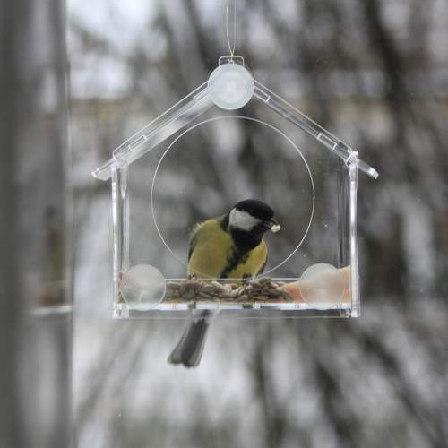 Photo #9556051