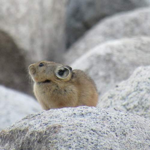 Photo #9556197
