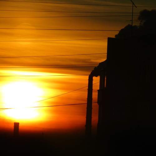 Photo #9556240