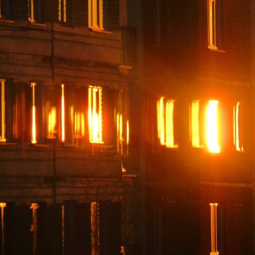 Photo #9556241